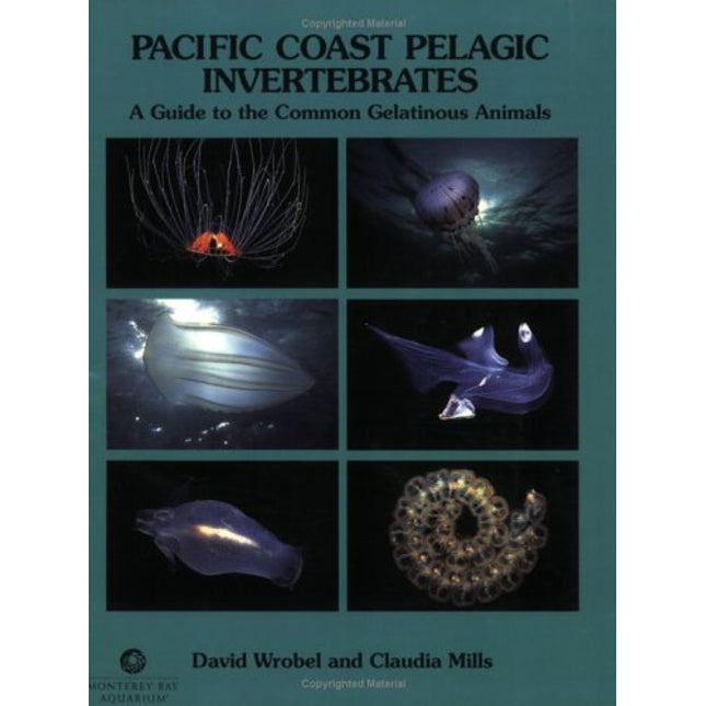 Pacific Coast Pelagic Invertebrates: A Guide to the Common Gelatinous Animals