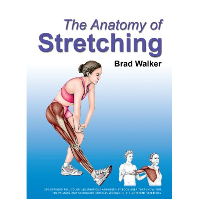 The Anatomy of Stretching