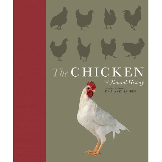 The Chicken: A Natural History
