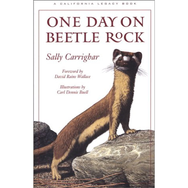One Day on Beetle Rock (California Legacy Book)