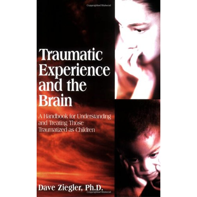 Traumatic Experience and the Brain: A Handbook for Understanding and Treating Those Traumatized As Children