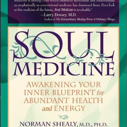 Soul Medicine: Awakening Your Inner Blueprint for Abundant Health and Energy