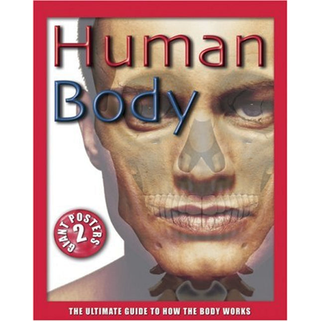 Human Body: The Ultimate Guide to How the Body Works