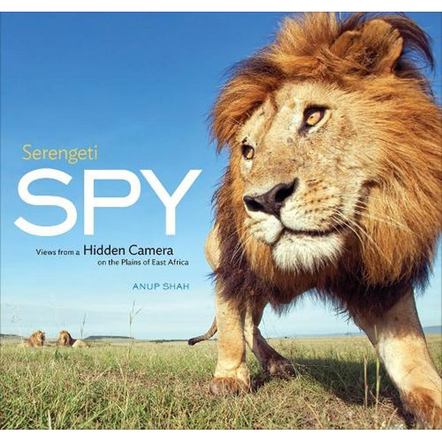 Serengeti Spy: Views from a Hidden Camera on the Plains of East Africa