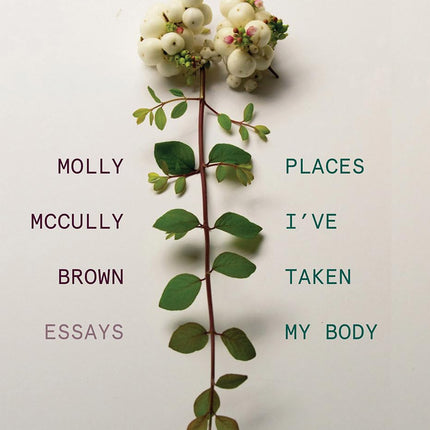 Places I've Taken My Body: Essays