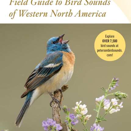 Peterson Field Guide To Bird Sounds Of Western North America