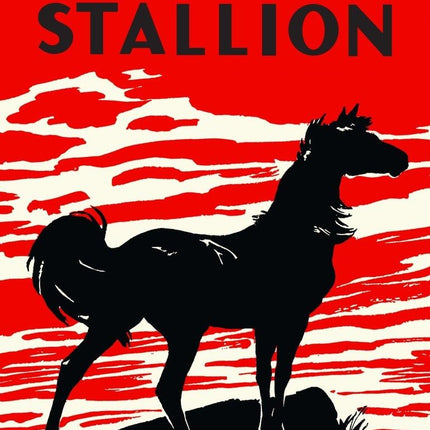 The Black Stallion