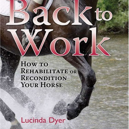 Back to Work: How to Rehabilitate or Recondition Your Horse