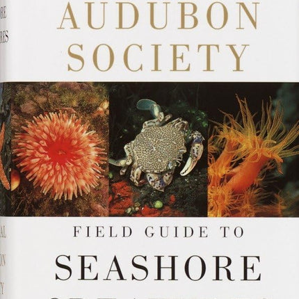National Audubon Society Field Guide to Seashore Creatures: North America