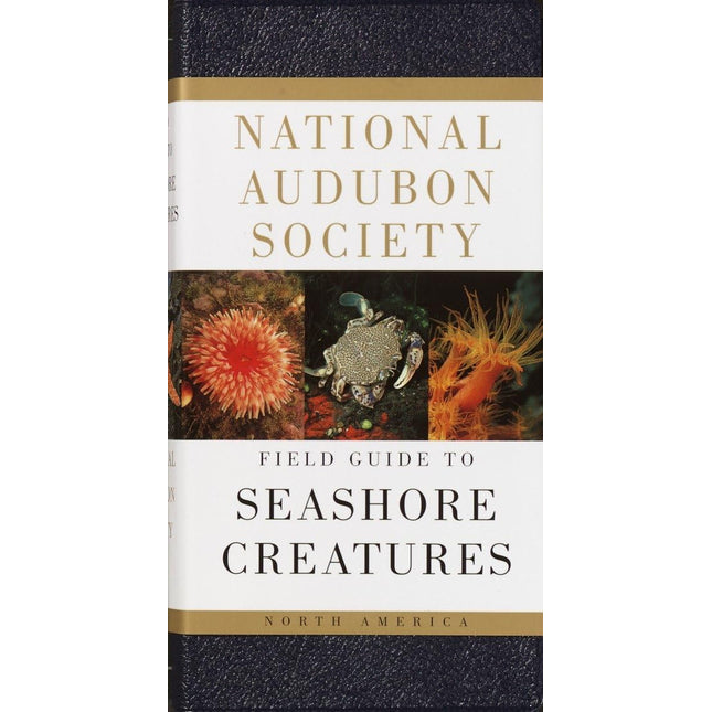 National Audubon Society Field Guide to Seashore Creatures: North America
