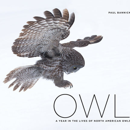 Owl: A Year in the Lives of North American Owls