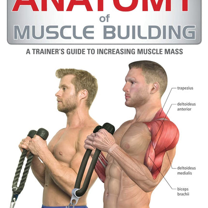Anatomy of Muscle Building: A Trainer's Guide to Increasing Muscle Mass
