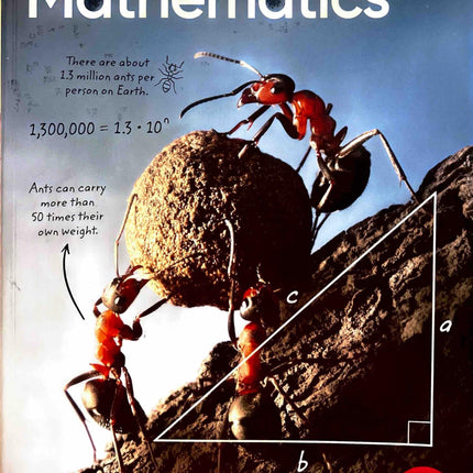 i-Ready Classroom, Mathematics , Grade 8, Fluency and Skills Practice