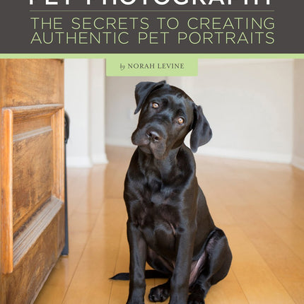 Pet Photography: The Secrets to Creating Authentic Pet Portraits