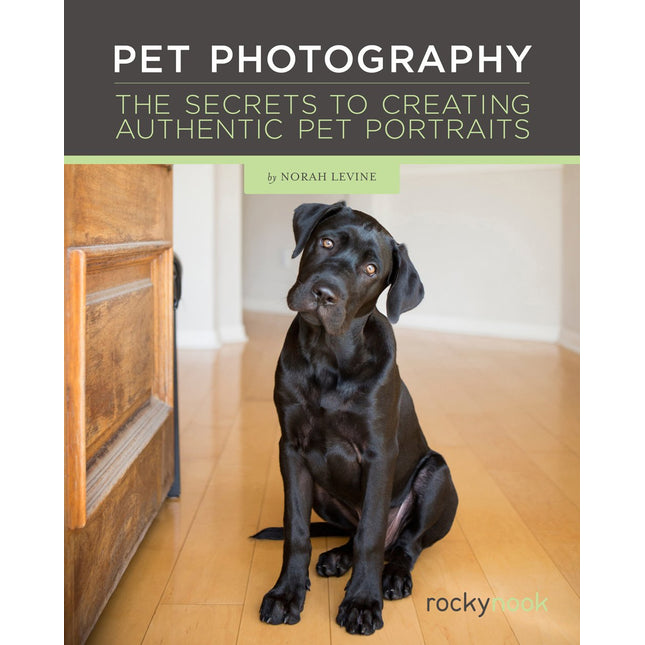 Pet Photography: The Secrets to Creating Authentic Pet Portraits
