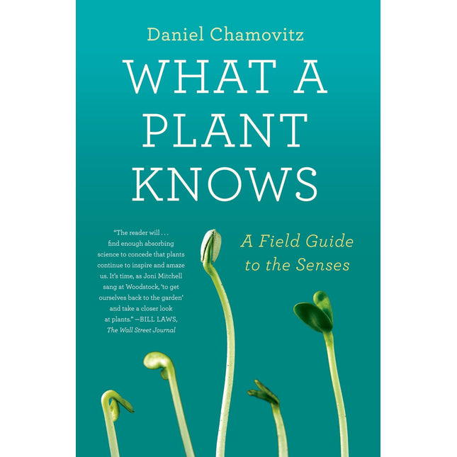 What a Plant Knows: A Field Guide to the Senses