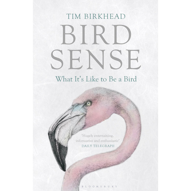 Bird Sense: What It's Like to Be a Bird