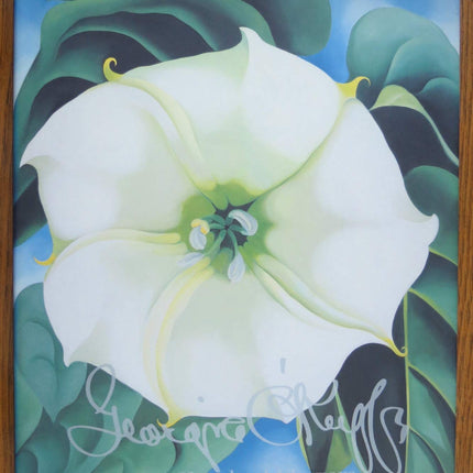 Georgia O'Keeffe: One Hundred Flowers