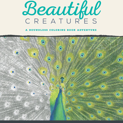 Beautiful Creatures: A Boundless Coloring Book Adventure