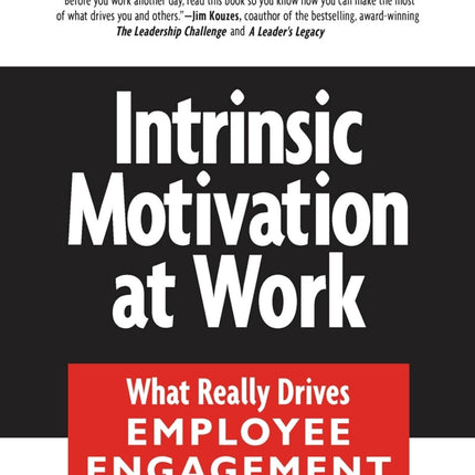 Intrinsic Motivation at Work: Building Energy and Commitment