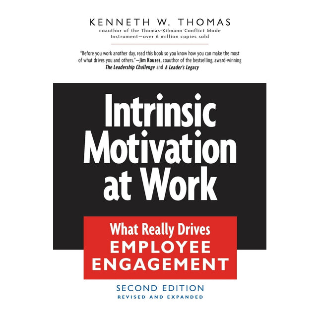 Intrinsic Motivation at Work: Building Energy and Commitment