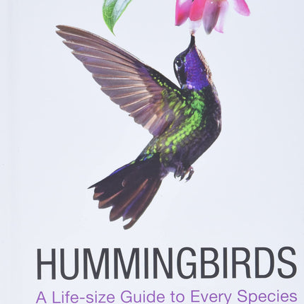 Hummingbirds: A Life-size Guide to Every Species