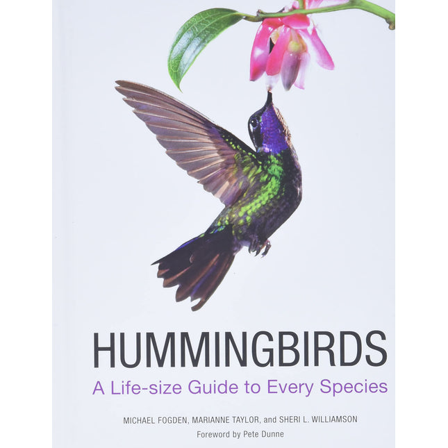 Hummingbirds: A Life-size Guide to Every Species
