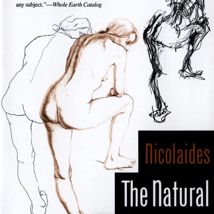 The Natural Way To Draw: A Working Plan for Art Study