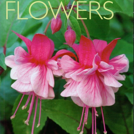 Encyclopedia of Flowers: Over 1,000 Popular Flowers, Flowering Shrubs and Trees