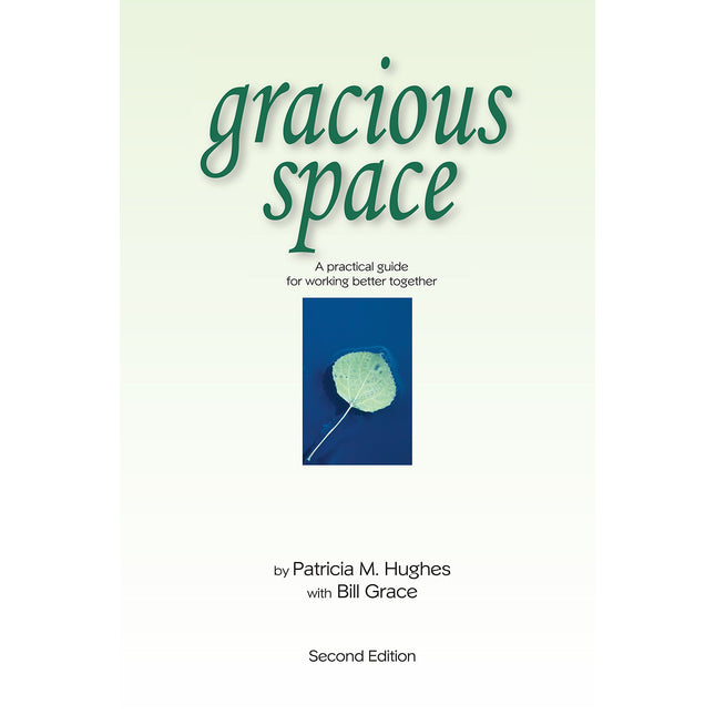 Gracious Space: A Practical Guide For Working Better Together