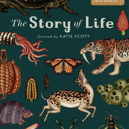 The Story Of Life Evolution