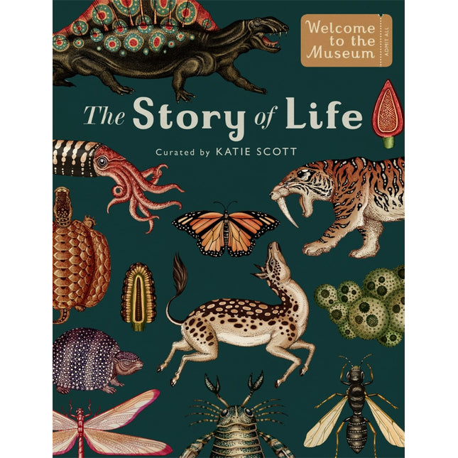 The Story Of Life Evolution