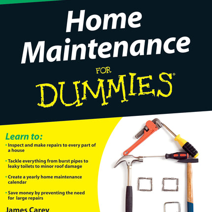 Home Maintenance For Dummies