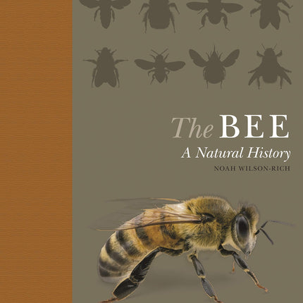 The Bee: A Natural History