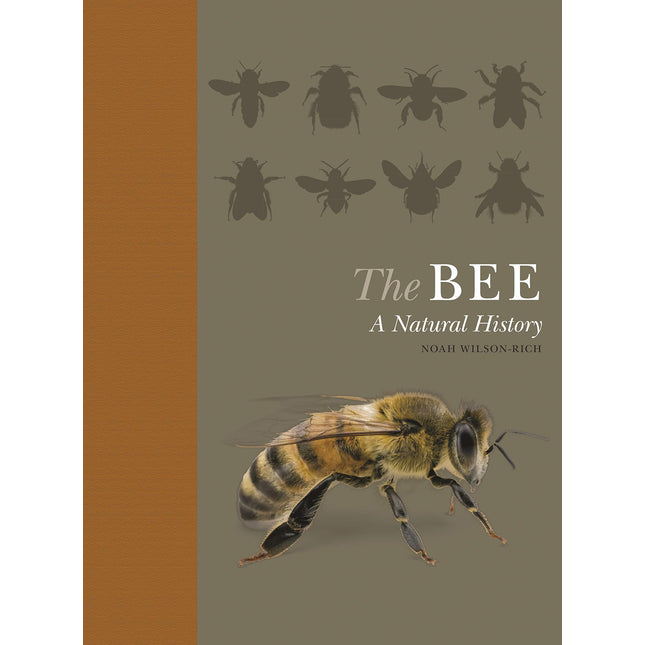 The Bee: A Natural History