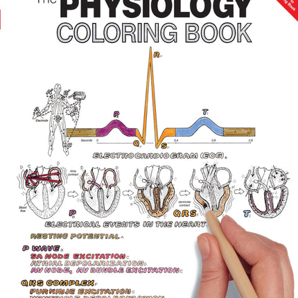 Physiology Coloring Book, The