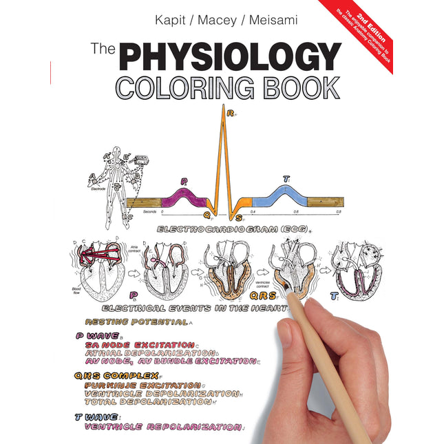 Physiology Coloring Book, The