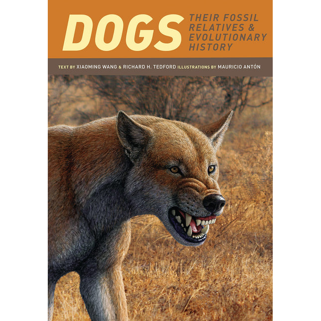 Dogs: Their Fossil Relatives and Evolutionary History