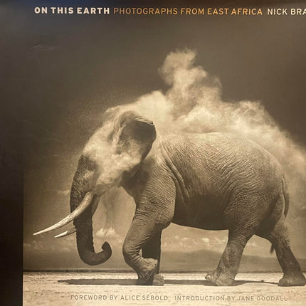 On This Earth: Photographs from East Africa
