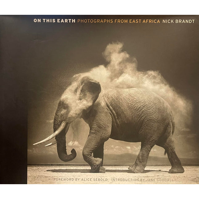 On This Earth: Photographs from East Africa