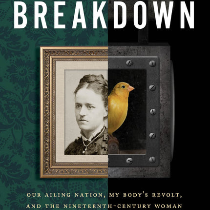 American Breakdown: Our Ailing Nation, My Body’s Revolt, and the Nineteenth-Century Woman Who Brought Me Back to Life – An Illuminating Investigation into Chronic Illness and Environmental Ecosystems