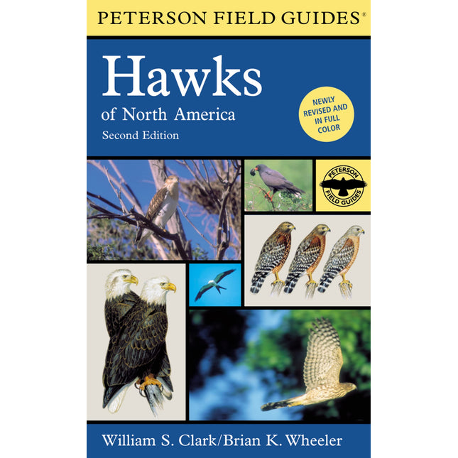 A Peterson Field Guide To Hawks Of North America