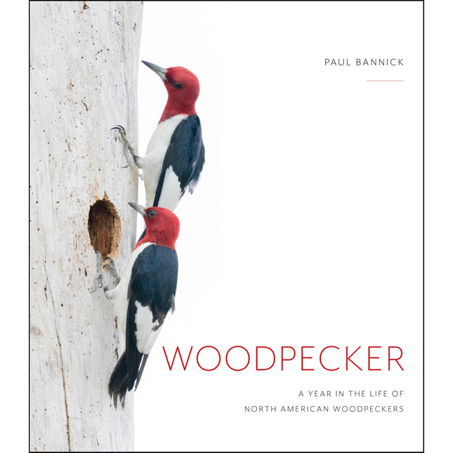 Woodpecker: A Year in the Life of North American Woodpeckers