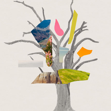 Erosion: Essays of Undoing
