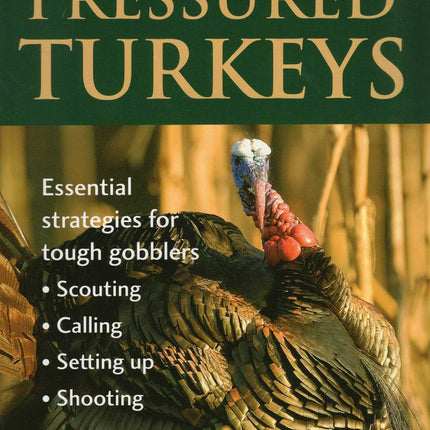 Hunting Pressured Turkeys