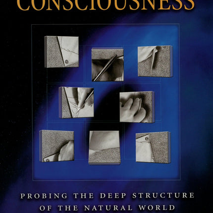 A Place for Consciousness: Probing the Deep Structure of the Natural World (Philosophy of Mind)
