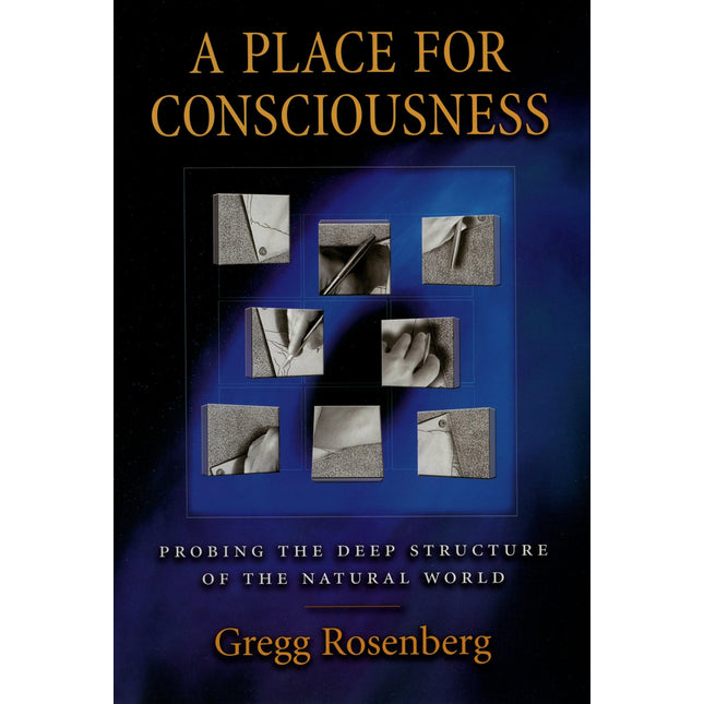 A Place for Consciousness: Probing the Deep Structure of the Natural World (Philosophy of Mind)