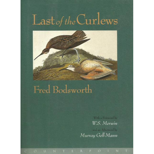 Last of the Curlews