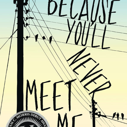 Because You'll Never Meet Me