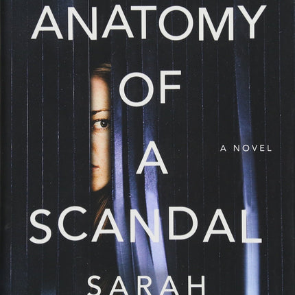Anatomy of a Scandal: A Novel